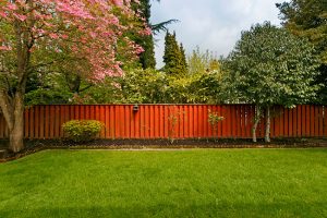 Fences Are Excellent Options for Any Home